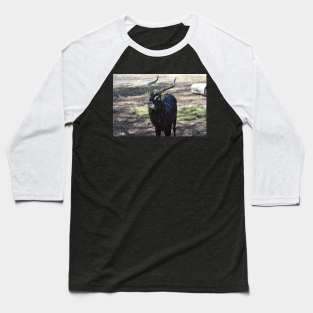 Nile Lechwe Baseball T-Shirt